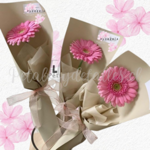 Pack en 3 gerberas individual decoradas y lindo lazo