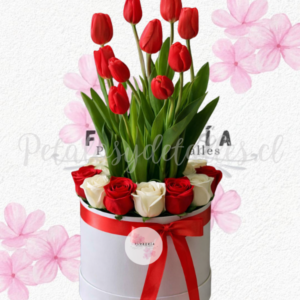 Box con 10 rosas importadas y 10 tulipanes seleccionados