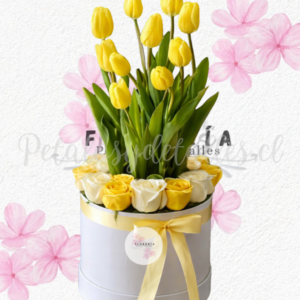 Box con 10 rosas importadas y 10 tulipanes seleccionados