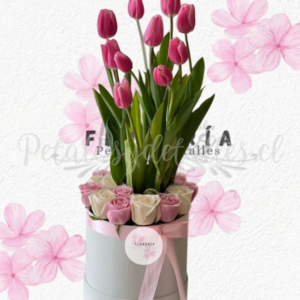 Box con 10 rosas importadas y 10 tulipanes seleccionados