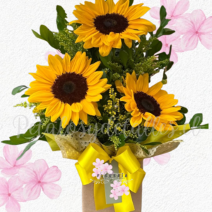 Box en 3 girasoles, follaje verde tradicional y lazo decorativo