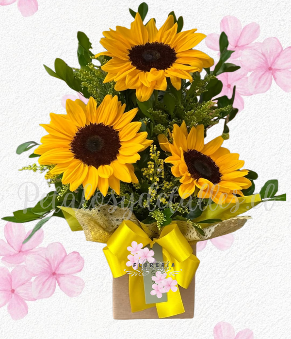 Box en 3 girasoles, follaje verde tradicional y lazo decorativo