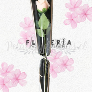 Mega Promoción rosita individual en conito