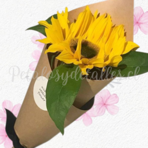 Girasol agranel cono en papel kraft