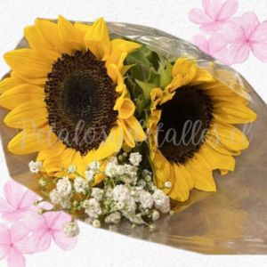 Ramito en 2 girasoles arreglados, folla e ilusión blanca