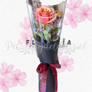 Rosa decorada tendencia visora y lindo lazo decorativo