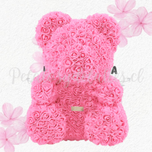 Lindo y delicado Oso teddy en caja transparente de acetato