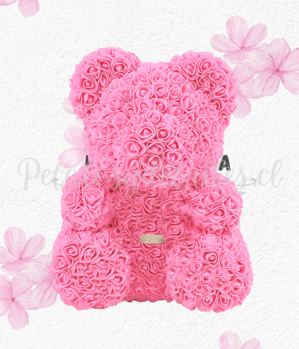 Lindo y delicado Oso teddy en caja transparente de acetato