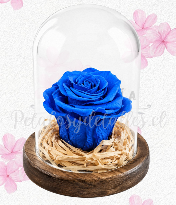 Rosa azul en cúpula mediana y lindo lazo decorativo