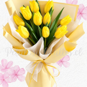 Elegancia en 10 delicados tulipanes y linda envoltura