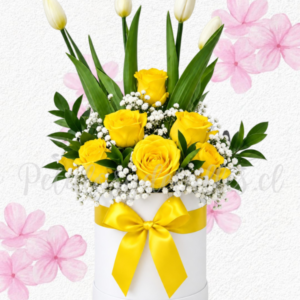 Box floral en 6 rosas importadas, follaje y 4 tulipanes delicados