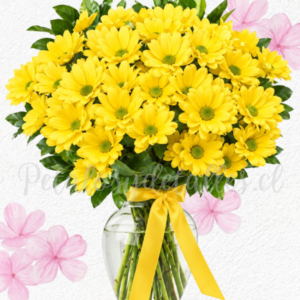 Florero samaritano en 10 varas de margaritas y lindo lazo