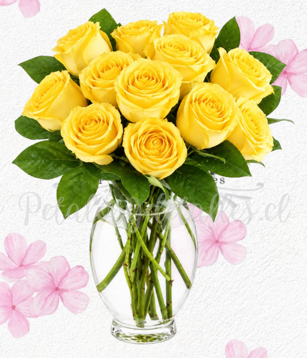 Florero samaritano en 12 rosas importada y lindo lazo